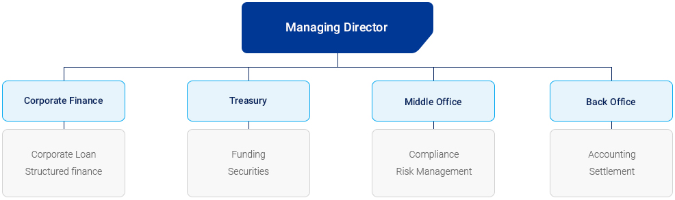 KDB Ireland Designated Activity Company(DAC) Chart Image(See Below)