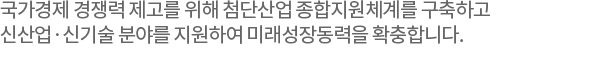 국가경제 경쟁력 제고를 위해 첨단산업 종합지원체계를 구축하고 신산업·신기술 분야를 지원하여 미래성장동력을 확충합니다.